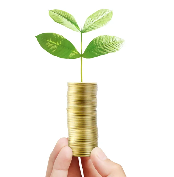 Man met planten kiemen van een handjevol munten — Stockfoto