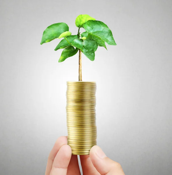 Man met planten kiemen van een handjevol munten — Stockfoto