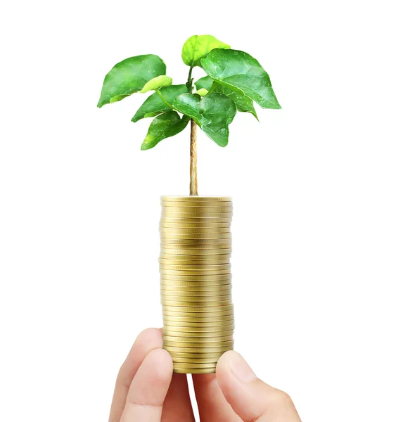 Man met planten kiemen van een handjevol munten — Stockfoto