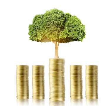 para büyüyen ağacı