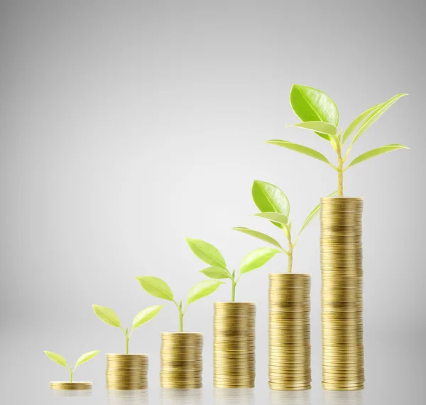 Tree growing from money — Stock Photo, Image