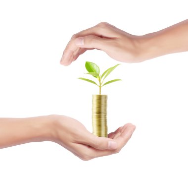 ağaç sikke yığını gelişen