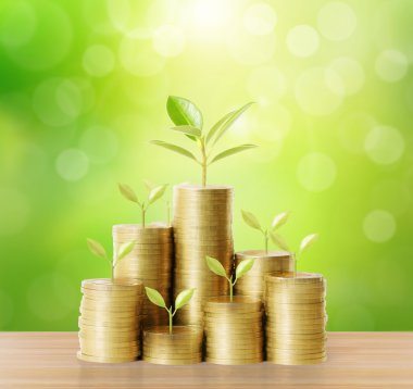 Sikke para yığını üzerinde büyüyen ağaçlar 