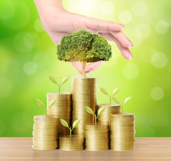 Mano sosteniendo joven planta verde y monedas dinero —  Fotos de Stock