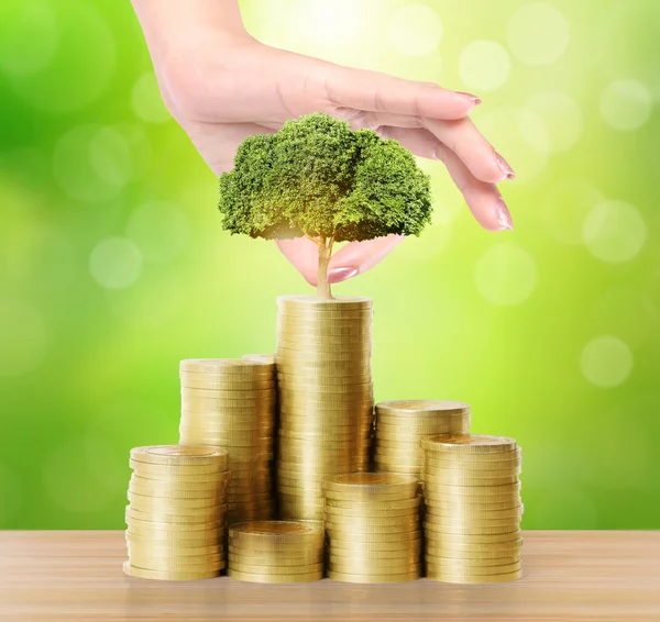Tenuta in mano giovane pianta verde e monete denaro — Foto Stock