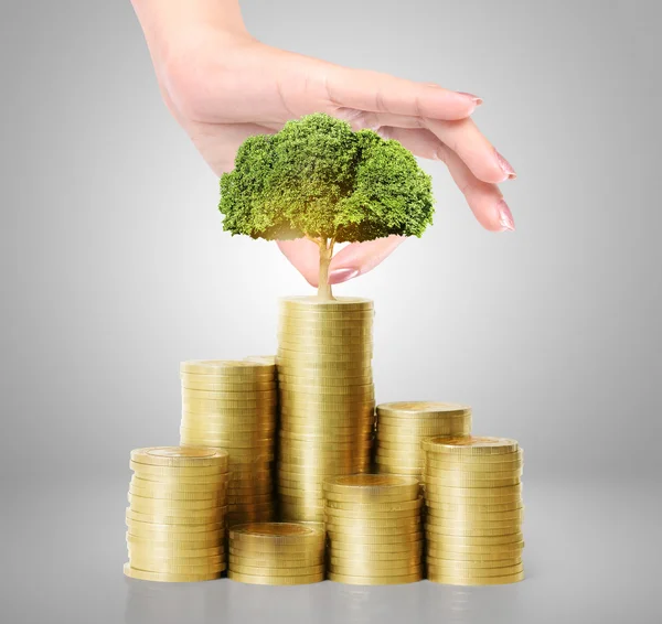 Ruka držící mladých zelených rostlin a mince peníze — Stock fotografie
