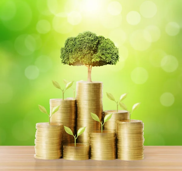 Sikke para yığını üzerinde büyüyen ağaçlar 