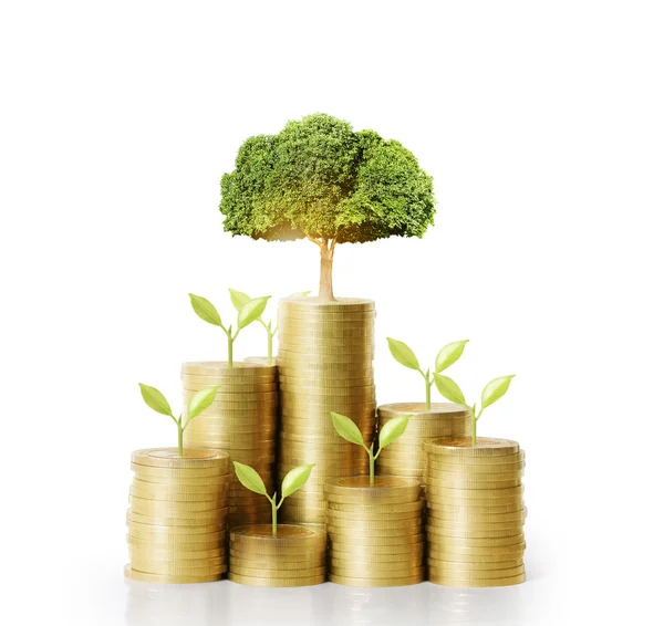 Bomen groeien op stapel munten geld — Stockfoto