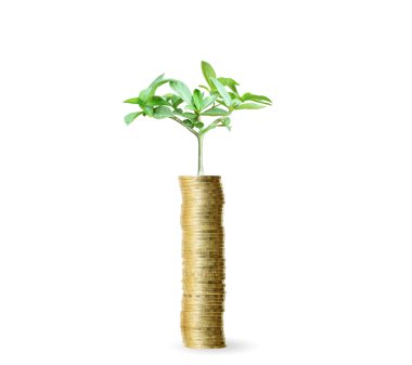 Yatırım kavramı, sikke stok grafik. 
