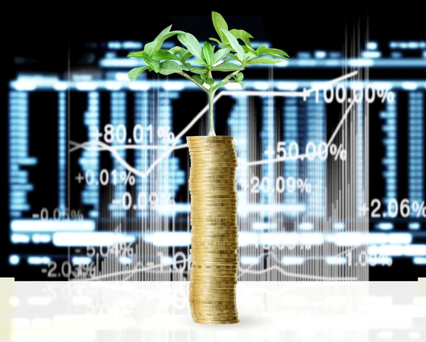 Investeringen concept, munten grafiek voorraad — Stockfoto