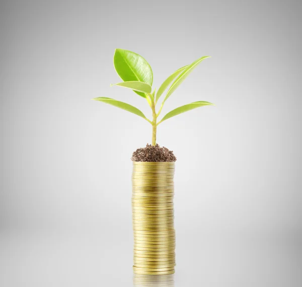 Light bulb idea in the hand — Stock Photo, Image