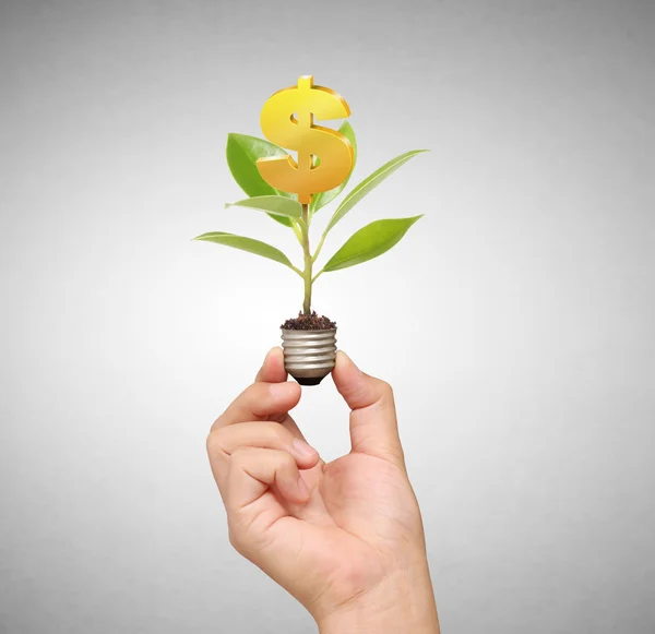 Light bulb idea in the hand — Stock Photo, Image