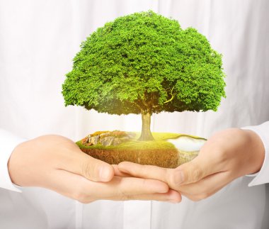 Bitki holding adam eller