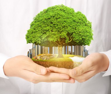 Bitki holding adam eller