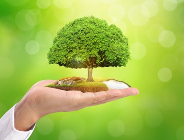 Bitki holding adam eller