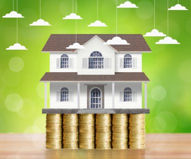 bir sikke üzerinde ev modeli