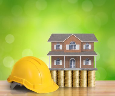 bir sikke üzerinde ev modeli