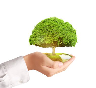 işadamı holding ağaç