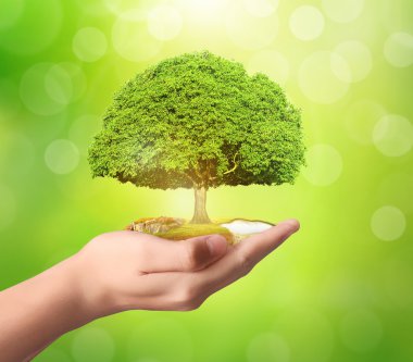 işadamı holding ağaç