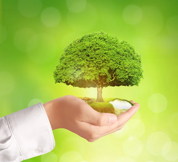 işadamı holding ağaç