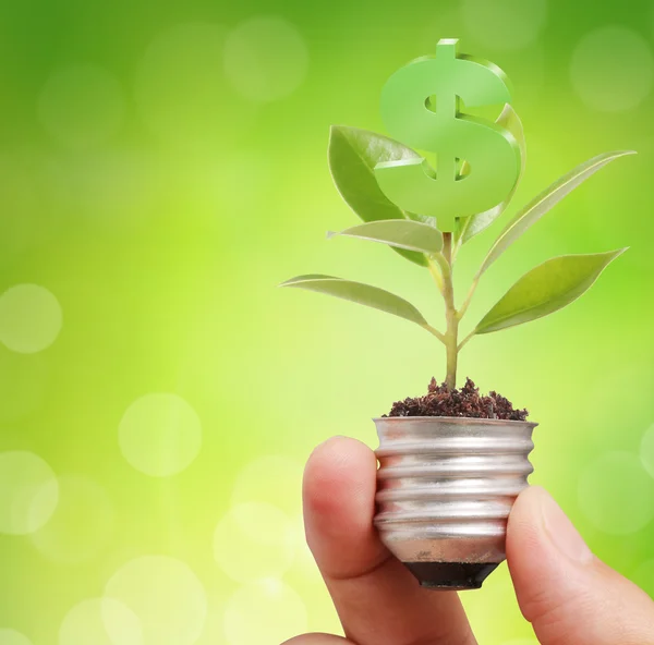 Light bulb idea in the hand — Stock Photo, Image