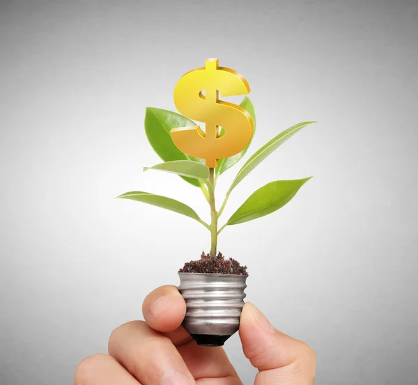 Light bulb idea in the hand — Stock Photo, Image