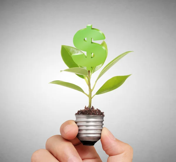 Light bulb idea in the hand — Stock Photo, Image