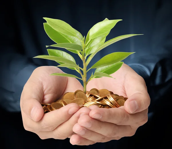 Money growing from plant coins — Stock Photo, Image
