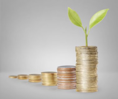 Madeni paralar borsa grafiği