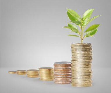 Madeni paralar borsa grafiği