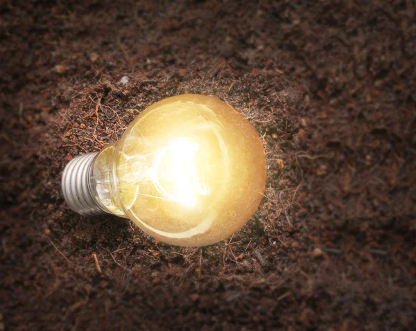 Simple light bulbs — Stock Photo, Image