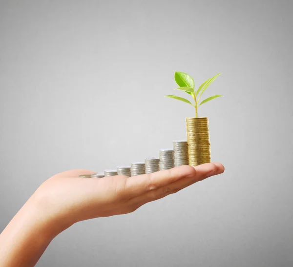 Münze in Geld, Geschäftsidee in der Hand — Stockfoto