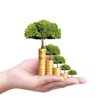 İnsan eli para para