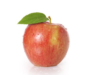 Beyaz arkaplanda elma
