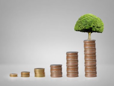  Madeni paralar borsa grafiği