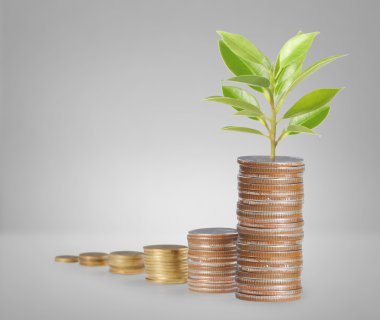  Madeni paralar borsa grafiği