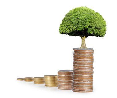  Madeni paralar borsa grafiği