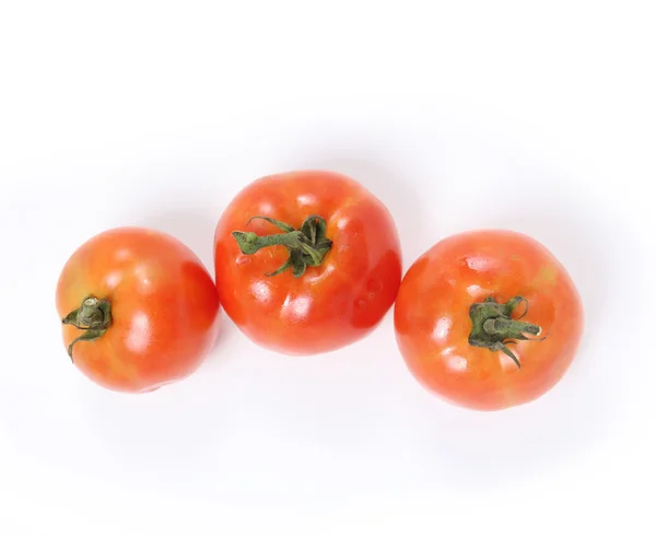 Tomaten ganz und auf weiß — Stockfoto