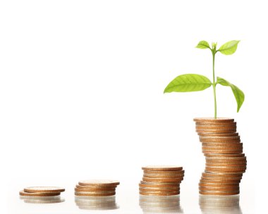 Yatırım kavramı, paralar borsa