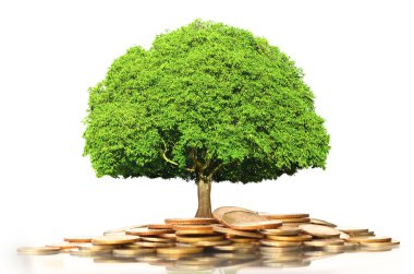 Yatırım kavramı, paralar borsa