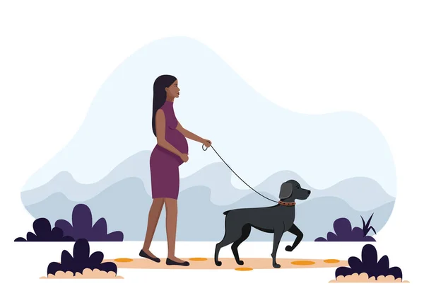 African American pregnant woman walking the dog. Vector illustration in flat style, concept illustration for healthy lifestyle, sport, exercising — Stock Vector