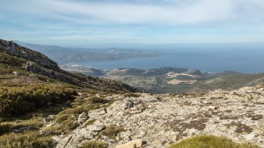 Körfez St Florent Corsica Kuzey Batı Sahili