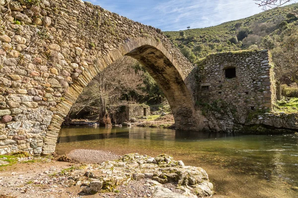 Puente genovés en Piana en Córcega — Foto de Stock