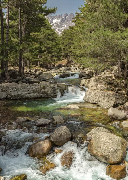 Sungai pegunungan dekat Albertacce di Korsika — Stok Foto