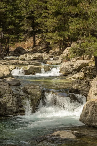 Mountain stream near Albertacce in Corsica — Stock Photo, Image