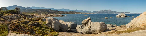 Vista panorámica de la bahía de Calvi desde Punta Spanu en Córcega — Foto de Stock