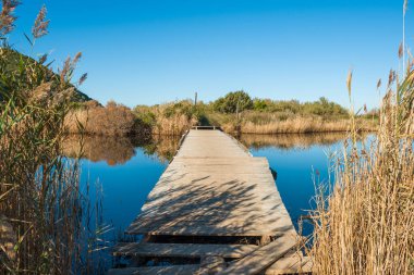 Yüzen ahşap bir duba köprüsü Korsika 'nın Balagne bölgesindeki Ostriconi' de Etang de Foce 'den geçer ve sazlıklar durgun suya mükemmel bir şekilde yansımıştır.