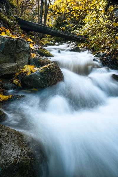 Mountain Stream Cascading Fallen Tree Trunk Moss Covered Boulders Leafy — Stock Photo, Image