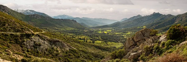 科西嘉岛Calvi附近的Calenzana Moncale森林绿油油的山谷 远处是白雪覆盖的山脉 — 图库照片