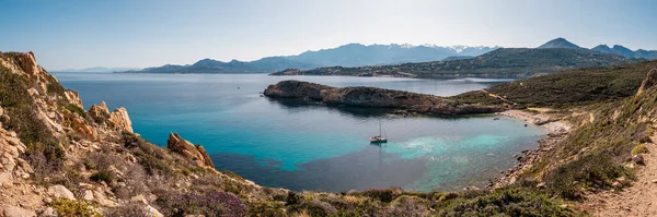 Panoramautsikt Över Segelbåt Förtöjd Vik Det Genomskinliga Medelhavet Kusten Revellata — Stockfoto